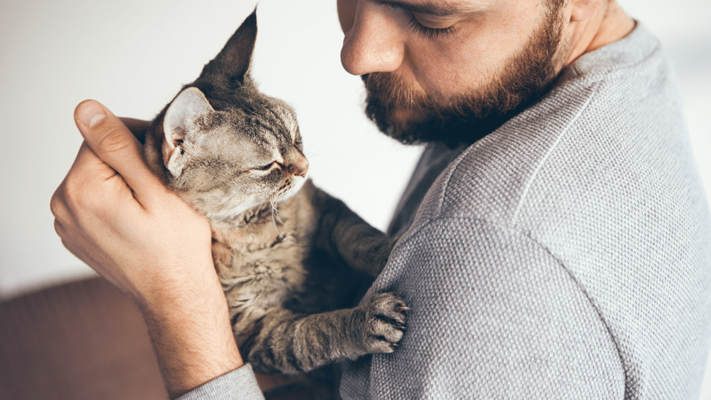 Cat kneading human