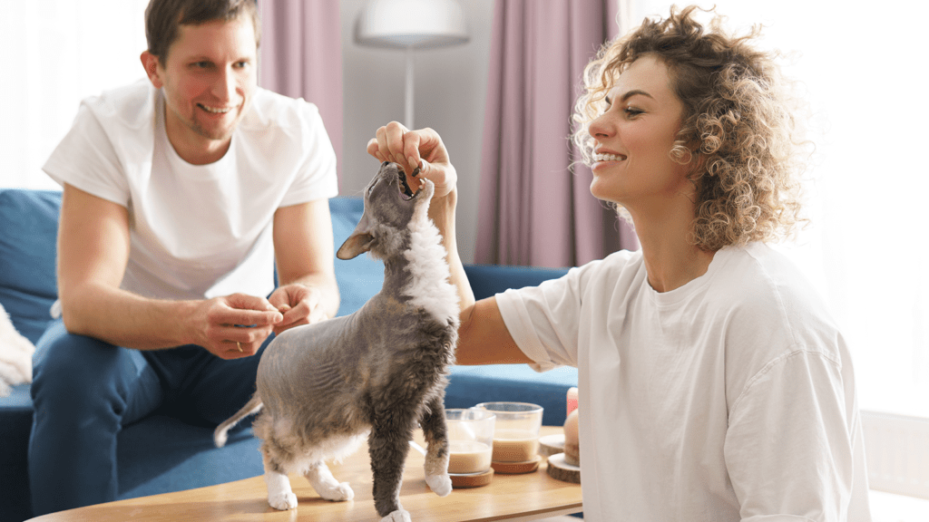 Giving a cat a pill