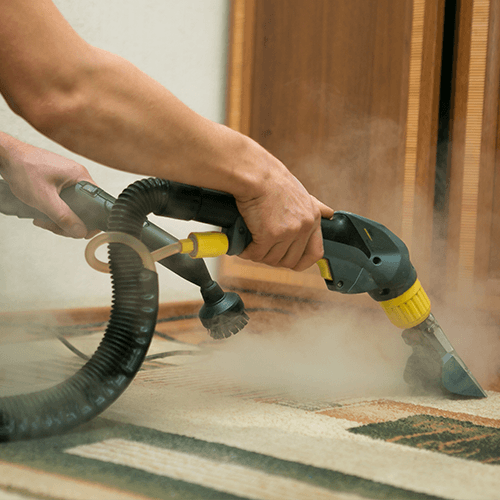 carpet deep cleaner