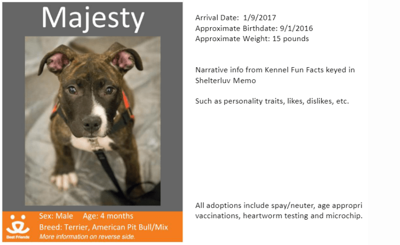 ShelterLuv Kennel Cards