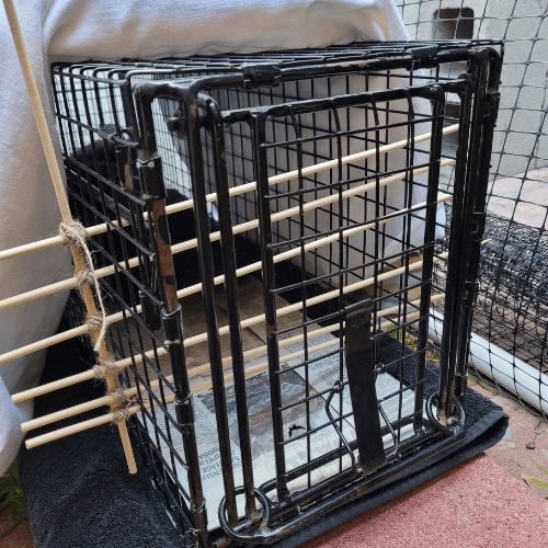 DIY trap divider