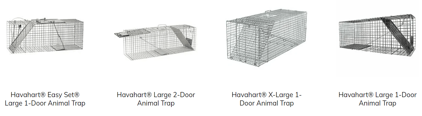 Havahart cat traps