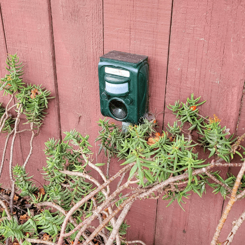 Ultrasonic Sound Device