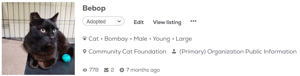 Bebop pet adoption profile