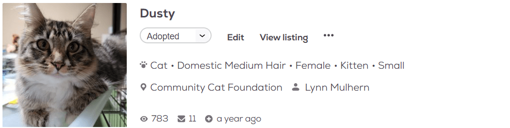 Dusty pet adoption profile