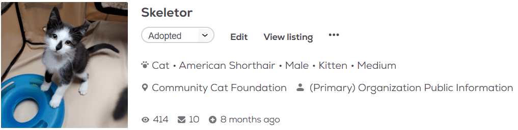 Skeletor pet adoption profile