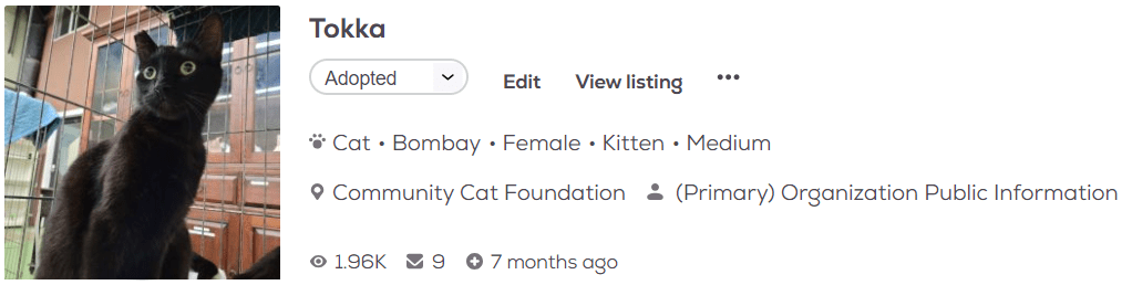 Tokka pet adoption profile