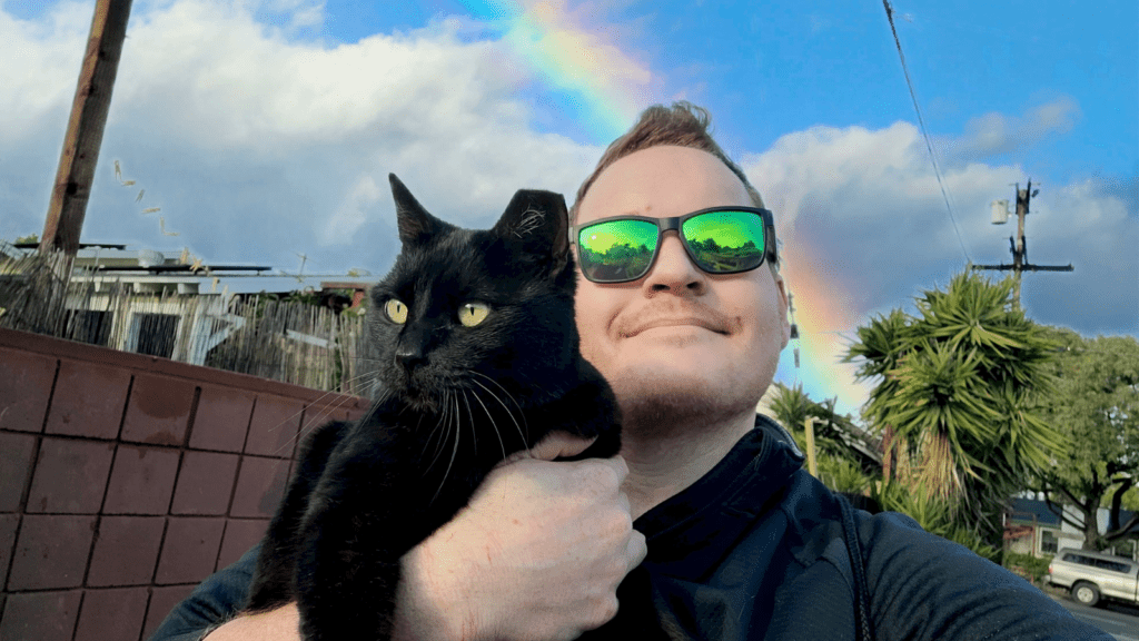 Taming a feral cat