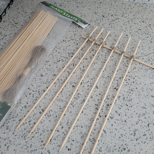 DIY Feral Cat Trap Divider