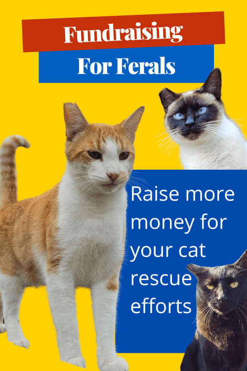 Fundraising for Ferals